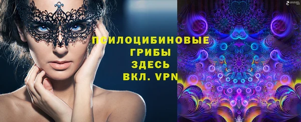 скорость Пестово