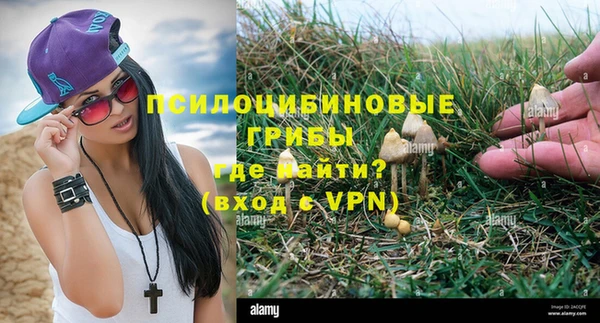 марки nbome Пересвет