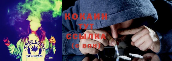 скорость Пестово