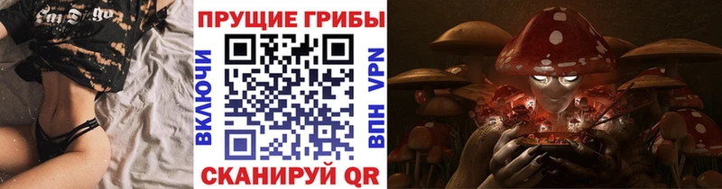 кракен ONION  Каменка  Псилоцибиновые грибы мицелий 