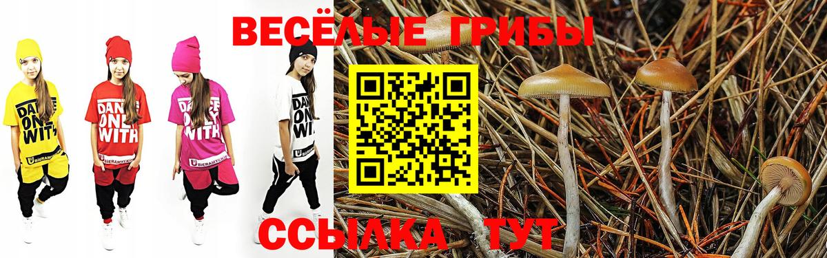 Каменка  Псилоцибиновые грибы мицелий  Вход с VPN 