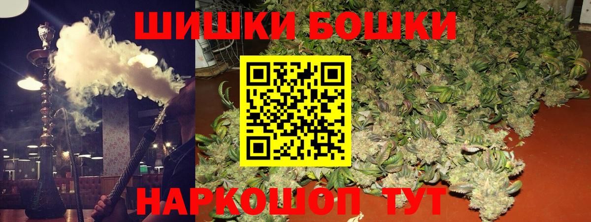 Марихуана план  Бошки марихуана сатива  Марихуана Bruce Banner  Марихуана Ganja  Каменка 
